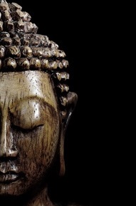 fotolia_95506411_cut_profilbild-wordpress